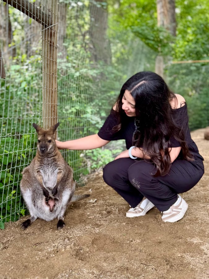 Mamá del cielo - Canguro 